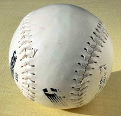 Charter Oak Softball Advance in Division 2