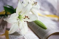Memorial Service for Nell Macmillen on May 25