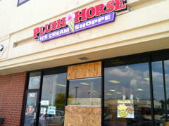 Plush Horse Back to Business after Friday Night Scare