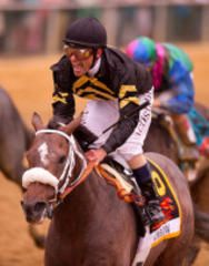 Longshot Oxbow Wins Preakness Stakes