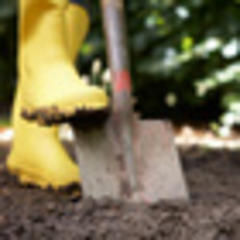 Gardening: Earthy autumnal delights